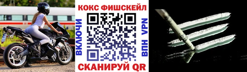 MEGA как войти  Белокуриха  Cocaine VHQ  закладка 