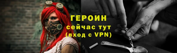 хмурый Осинники