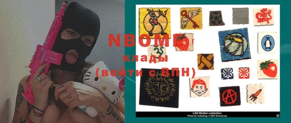 хмурый Осинники