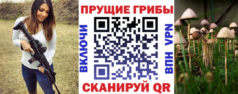 Псилоцибиновые грибы ЛСД Белокуриха