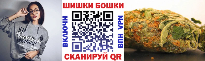 Конопля план  закладка  Белокуриха 